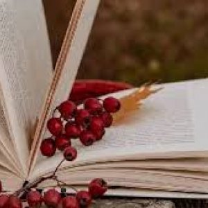 «Українське слово для всіх і для кожного»