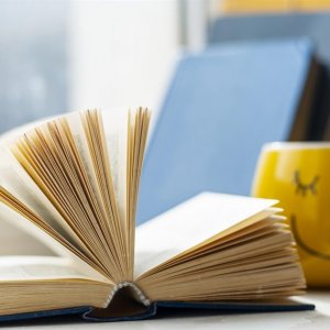 «Розмаїття детективів» (Віртуальна виставка)