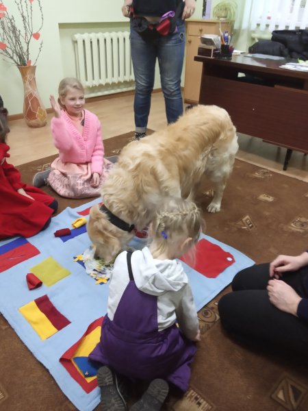 Заняття з каністерапії