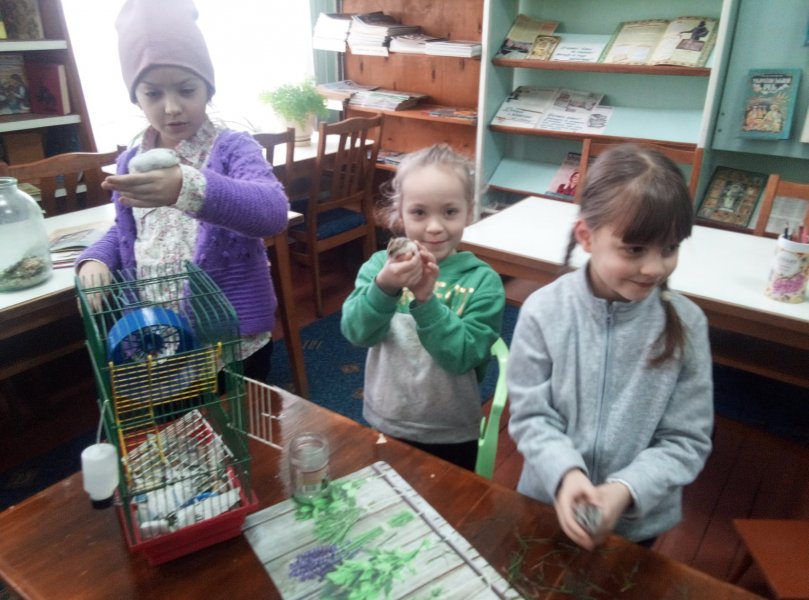 Година цікавих повідомлень «День хом’яка»