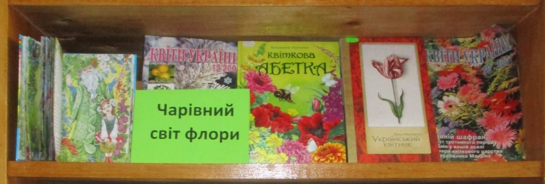 Книжкова розкладка ”Чарівний світ флори”