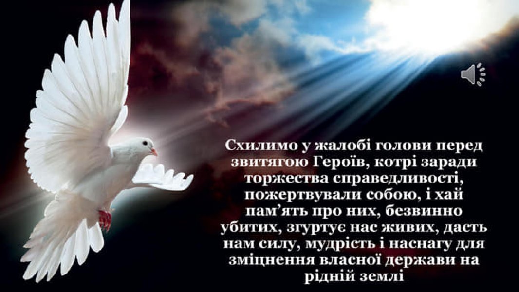 Книжкова виставка ”Небесна сотня”