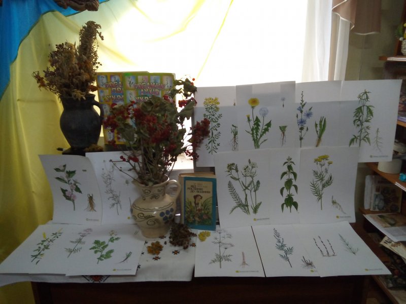 Година спілкування ”Від рослини - до людини” (До ювілею І. Носаля)