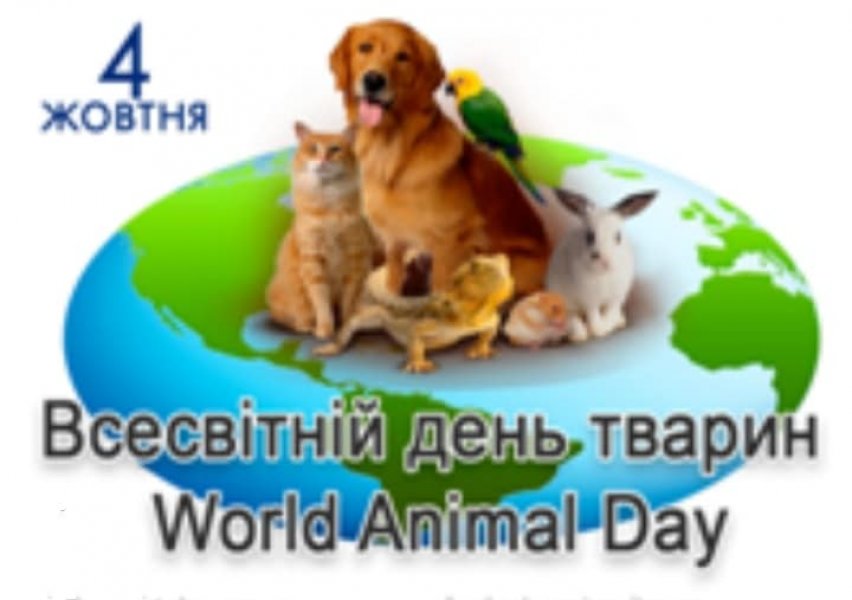 Конкурс ”Я та мій улюбленець” 