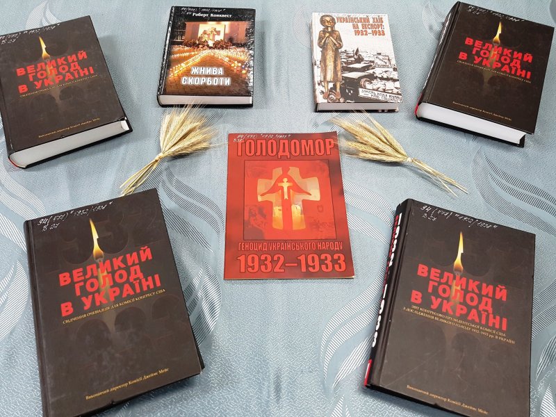  Інформаційний огляд «Твій біль, Україно…»