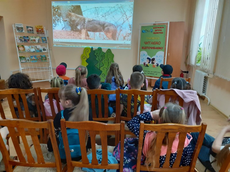 Чарівний світ гри «Мандрівка до лісу»