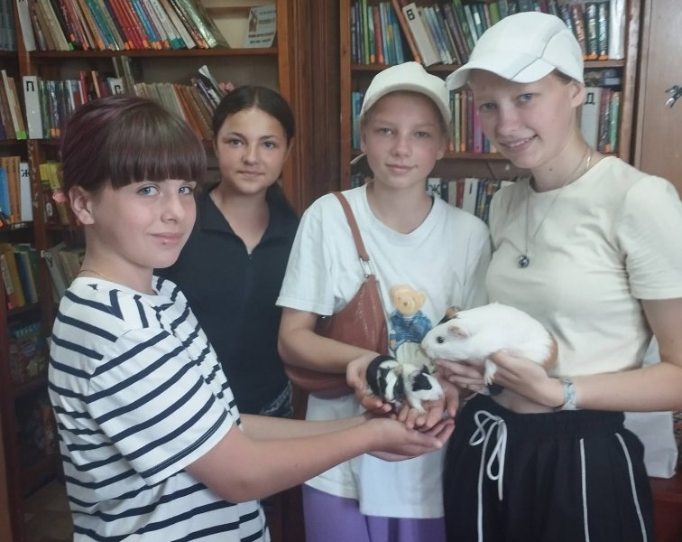 Цікаві факти ”День подяки морській свинці”