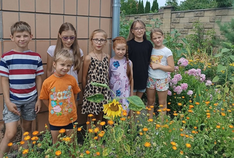 Інтелектуальна гра «Веселі перегони» (Бібліотека під відкритим небом – 2026)