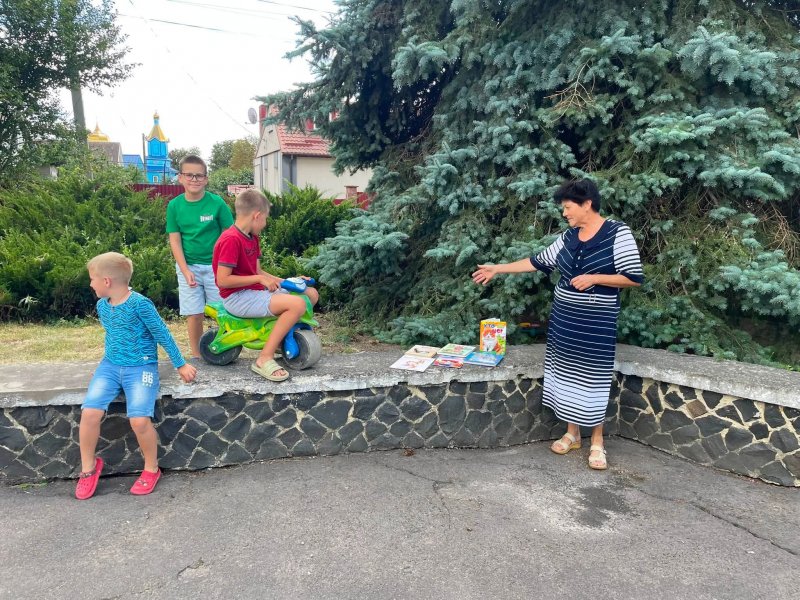Шанс-вікторина «Смугасті та вусаті» (до Всесвітнього дня котів) (Бібліотека під відкритим небом – 2026)
