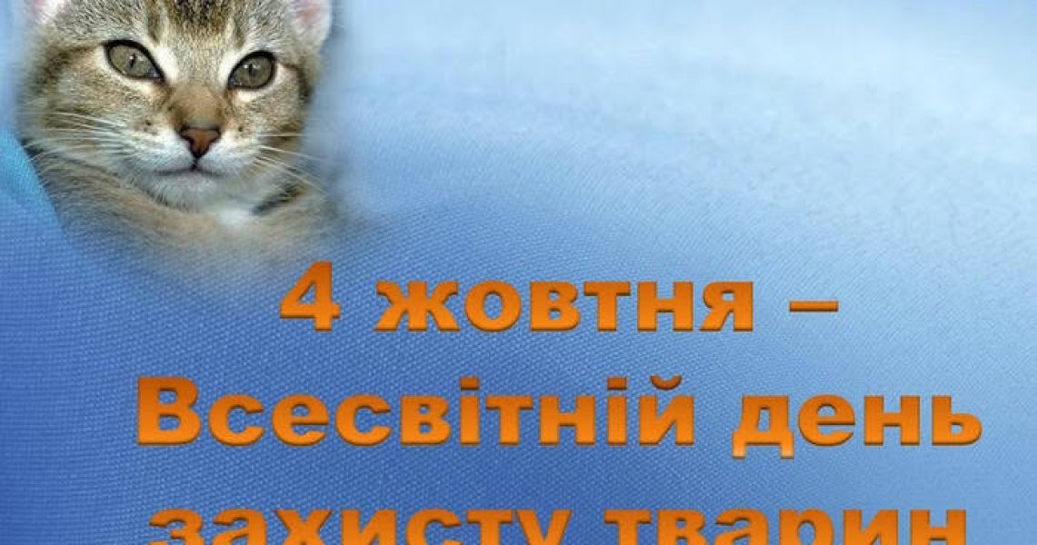 Пізнавальна вікторина «Друзі наші менші» (Всесвітній день захисту тварин)