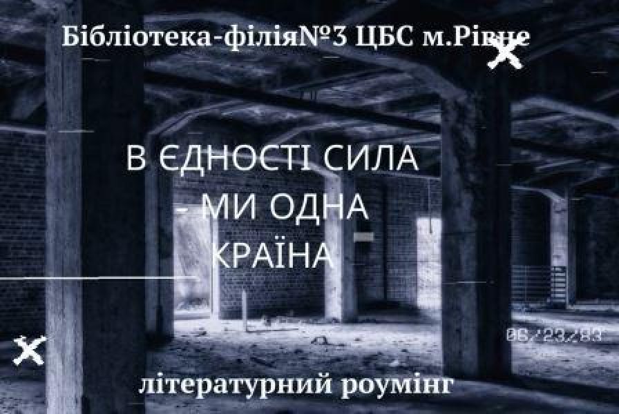 Літературний роумінг «В єдності сила – ми одна країна»