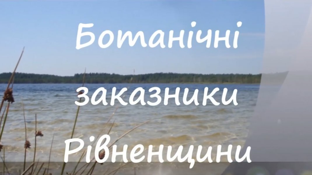 Віртуальний тур ”Ботанічні заказники Рівненщини”