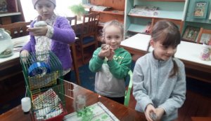 Година цікавих повідомлень «День хом’яка»