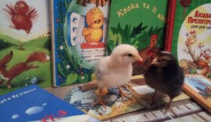 Онлайн-огляд ”Книги, які можна почитати разом з дітьми”