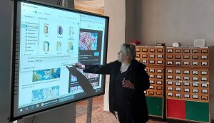 Тренінг «Використання графічних та відеоредакторів»