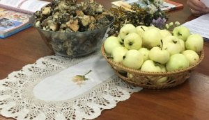 Літературне асорті ”Книжкова торбина для всієї родини”