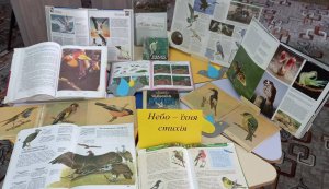 Виставка-інсталяція  «Небо – їхня стихія»