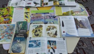 Книжкова поличка ”Пташки вертаються додому”