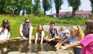 Бібліотстихія ”Дитинство - гомін, весело усюди” Бібліотека під відкритим небом