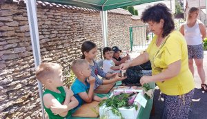Кулінарне шоу ”Пекельна кухня” Бібліотека під відкритим небом