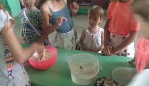 Майстерня радості  ”Медовик новодвірський”
