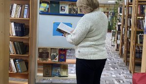 Інформаційна поличка ”Іван Мазепа - архітектор європейської України”