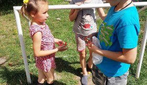Година активного спілкування «Літо, літечко чудове! Тепле, ніжне, веселкове!» (Бібліотека під відкритим небом)