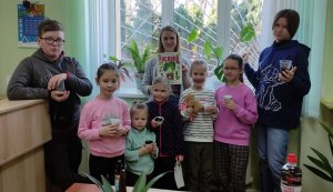 Бібліотека насіння  «Зернотека»  екопоробка «Розвиток рослин з насінини» 