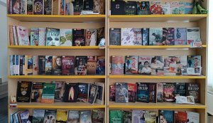  Літературний вернісаж «Non-STOP: Вибирай цікаву книгу» 