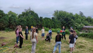 Бібліо-літо «Літо, літечко прийшло, зустрічаймо ми його!» (Бібліотека під відкритим небом – 2026)