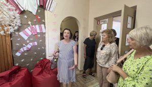 Професійний візит